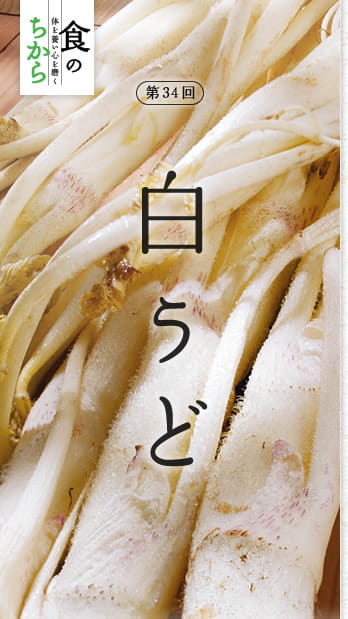 食のちから　体を養い心を磨く　第34回：白うど