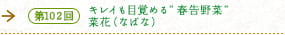 第102回 キレイも目覚める”春告野菜” 菜花（なばな）