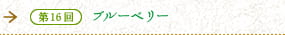 第16回　ブルーベリー　大地が育んだ健康成分の宝庫