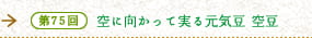 第75回 空に向かって実る元気豆　空豆