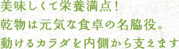 美味しくて栄養満点!乾物は元気な食卓の名脇役。動けるカラダを内側から支えます