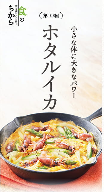 第103回 小さな体に大きなパワー ホタルイカ