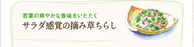 若葉の爽やかな香味をいただく サラダ感覚の摘み草ちらし