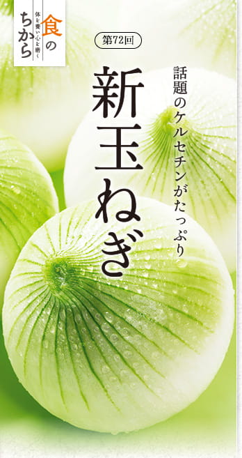 食のちから第72回 話題のケルセチンがたっぷり　新玉ねぎ