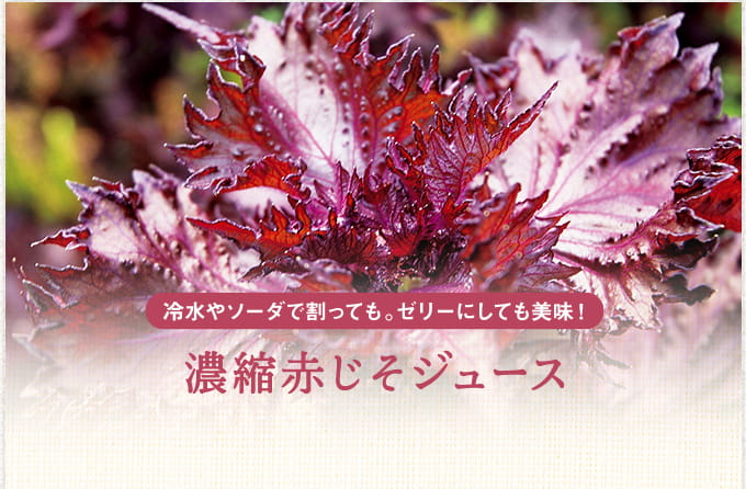 冷水やソーダで割っても。ゼリーにしても美味！濃縮赤じそジュース