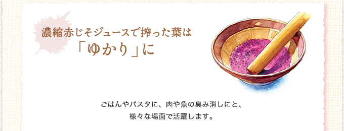 濃縮赤じそジュースで搾った葉は「ゆかり」に ごはんやパスタに、肉や魚の臭み消しにと、様々な場面で活躍します