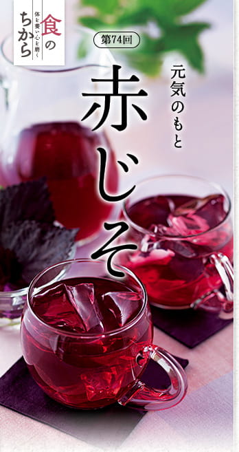 食のちから第74回 元気のもと　赤じそ