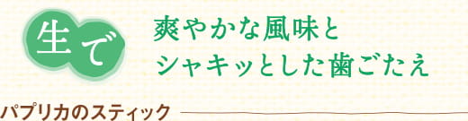 生で　爽やかな風味とシャキッとした歯ごたえ　パプリカのスティック