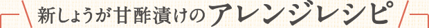 新しょうが甘酢漬けのアレンジレシピ