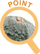 POINT