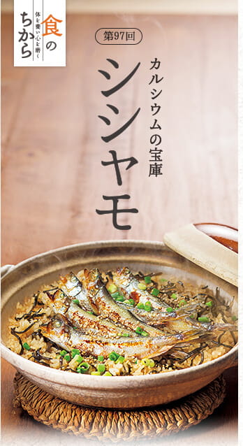 第97回 カルシウムの宝庫 シシャモ