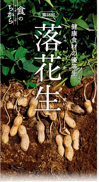 第98回　健康食材の優等生　落花生