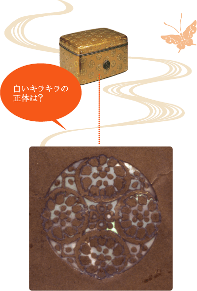 白いキラキラの正体は何でしょう？