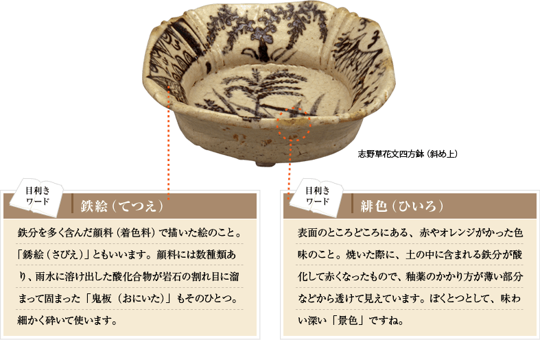 この志野草花文四方鉢の目利きワードは「鉄絵（てつえ）」と「緋色（ひいろ）」