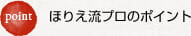 Point ほりえ流プロのポイント