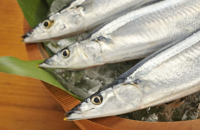 ３尾のサンマの写真。