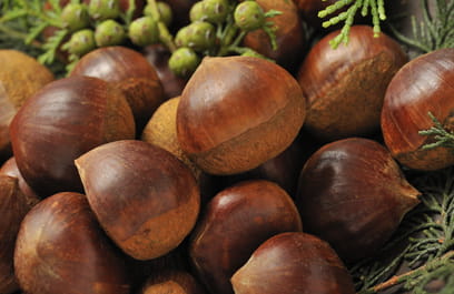 栗のアップの写真。