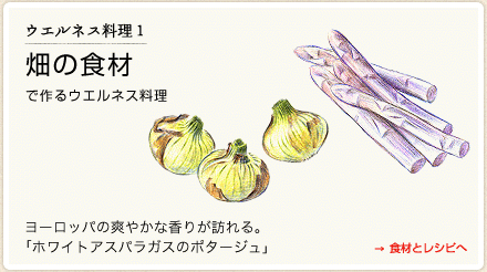 ウエルネス料理１　畑の食材で作るウエルネス料理 →食材とレシピへ　ヨーロッパの爽やかな香りが訪れる。　「ホワイトアスパラガスのポタージュ」
