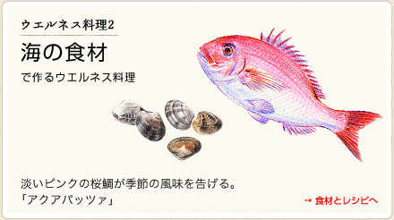 ウエルネス料理２　海の食材で作るウエルネス料理 →食材とレシピへ　淡いピンクの桜鯛が季節の風味を告げる。　「アクアパッツァ」
