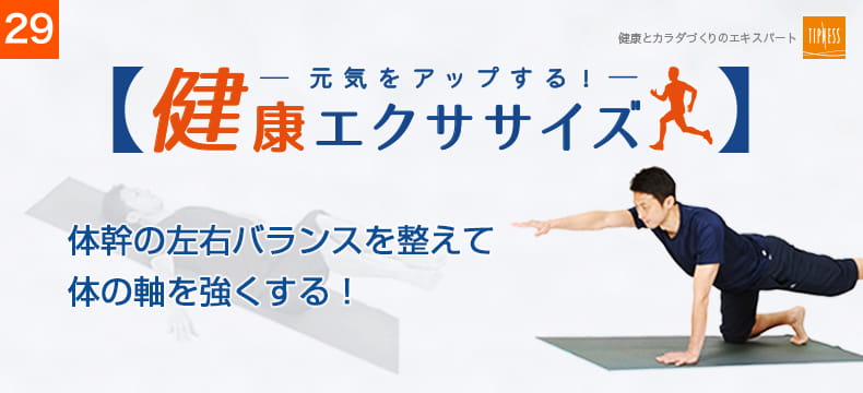29　エクササイズのプロ　ティップネスが教える　見た目も体力も若々しくする筋トレ法！！体幹の左右バランスを整えて体の軸を強くする！