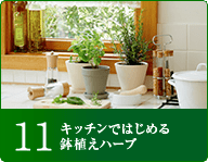 11キッチンではじめる鉢植えハーブ