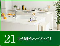 21虫が嫌うハーブって？