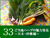 33 ご当地ハーブの魅力を発見！ 日本・沖縄編