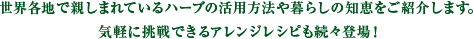 世界各地で親しまれているハーブの活用方法や暮らしの知恵をご紹介します。気軽に挑戦できるアレンジレシピも続々登場！