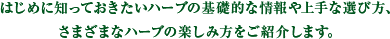 はじめに知っておきたいハーブの基礎的な情報や上手な選び方、さまざまなハーブの楽しみ方をご紹介します。