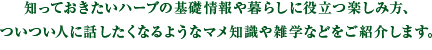 知っておきたいハーブの基礎情報や暮らしに役立つ楽しみ方、ついつい人に話したくなるようなマメ知識や雑学などをご紹介します。