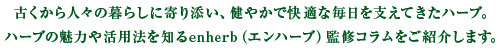 古くから人々の暮らしに寄り添い、健やかで快適な毎日を支えてきたハーブ。
ハーブの魅力や活用法を知るenherb（エンハーブ）監修コラムをご紹介します。