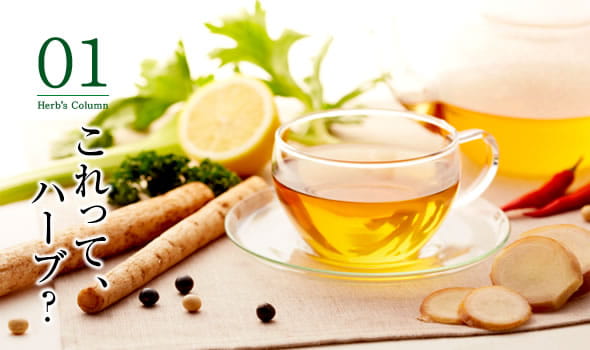 01 これって、ハーブ？