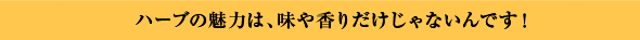 ハーブの魅力は、味や香りだけじゃないんです！