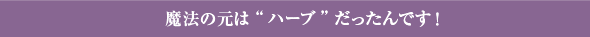 魔法の元は”ハーブ”だったんです！