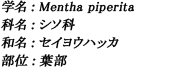 学名：Mentha piperita / 科名：シソ科 / 和名：セイヨウハッカ / 部位：葉部
