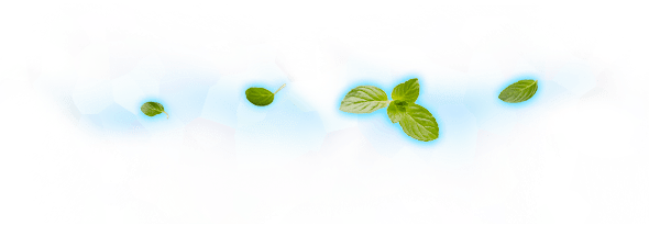 すーっと爽やかなミントの香り