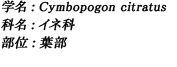  学名：Cymbopogon citratus / 科名：イネ科 / 部位：葉部