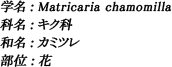 学名：Matricaria chamomilla / 科名：キク科 / 和名：カミツレ / 部位：花