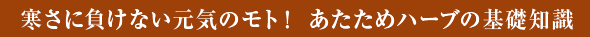 寒さに負けない元気のモト！ あたためハーブの基礎知識