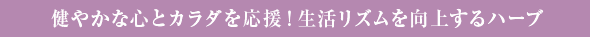 健やかな心とカラダを応援！生活リズムを向上するハーブ