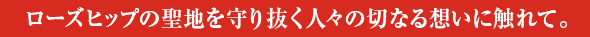 ローズヒップの聖地を守り抜く人々の切なる想いに触れて。