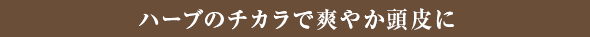 ハーブのチカラで爽やか頭皮に