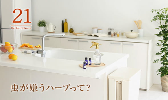 21 虫が嫌うハーブって？