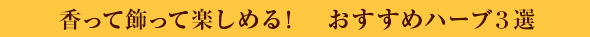 香って飾って楽しめる！　おすすめハーブ３選