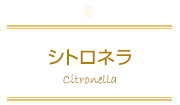 シトロネラ