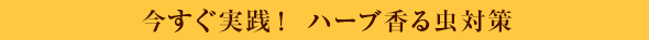 今すぐ実践！ハーブ香る虫対策