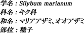 学名：Silybum marianum / 科名：キク科 / 和名：マリアアザミ、オオアザミ / 部位：種子