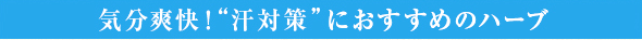 気分爽快！“汗対策”におすすめのハーブ