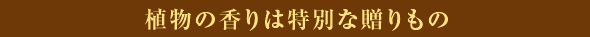 植物の香りは特別な贈りもの