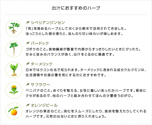 出汁におすすめのハーブ
・シベリアンジンセン
「気」を高めるハーブとして古くから東洋で活用されてきました。
ほっこりとした根の香りと、ほんのり甘い味わいが楽しめます。
・バードック
ゴボウのこと。食物繊維が豊富で内側からすっきりしたいときにぴったり。
甘みと旨みのバランスが良く、出汁をとるのに最適です。
・ターメリック
日本ではウコンの名で知られます。ターメリックに含まれる成分クルクミンは、生活習慣やお酒の量を気にする方におすすめです。
・サフラワー
ベニバナのこと。めぐりを整える、女性に嬉しいあったかハーブです。香味にクセがあるので、他のハーブと組み合わせてほんの少量使うのが◎。
・オレンジピール
オレンジの果皮のこと。消化をスムーズにしたり、食欲を整えたりしてくれるハーブです。元気の出ないときに摂り入れましょう。